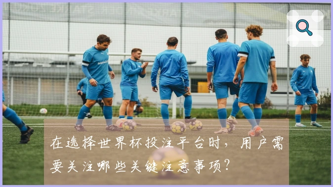 在选择世界杯投注平台时，用户需要关注哪些关键注意事项？