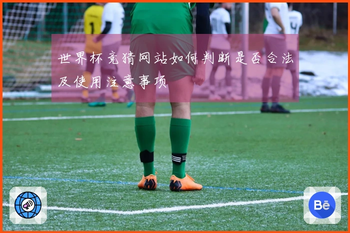 世界杯竞猜网站如何判断是否合法及使用注意事项
