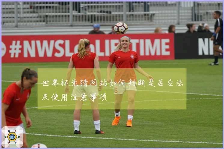 世界杯竞猜网站如何判断是否合法及使用注意事项